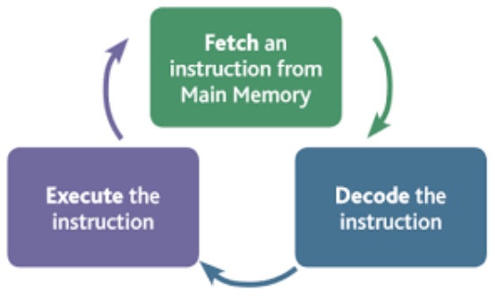 Role, Stages and Working of The Fetch Execute Cycle