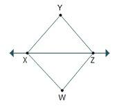 which is the line shown in the figure line xy line xz line wx line wz
