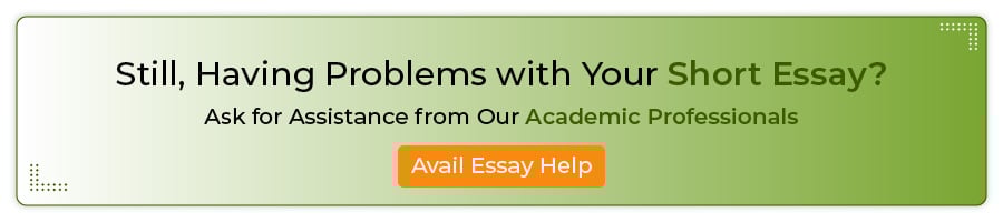 short essay