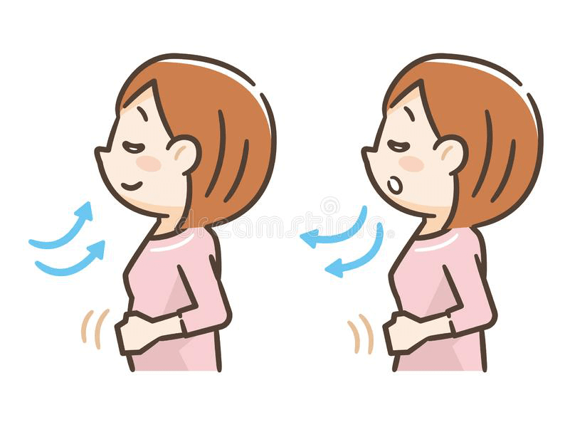 Human respiration 1