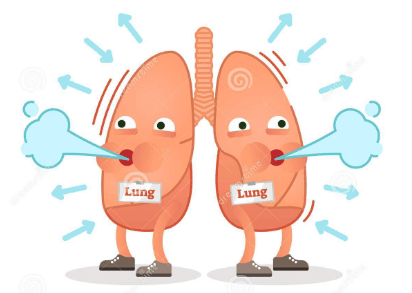 Lung 