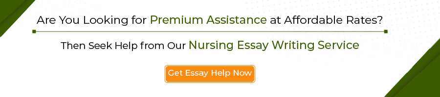 Nursing essay writing service