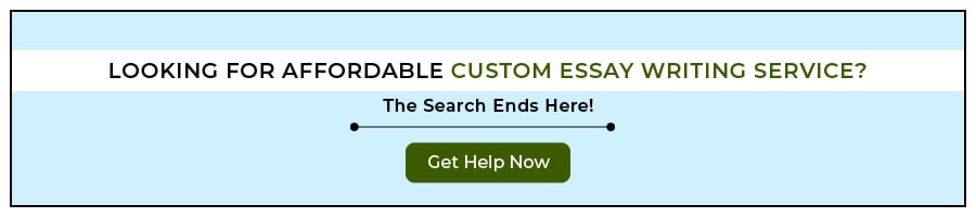 custom essay writing service