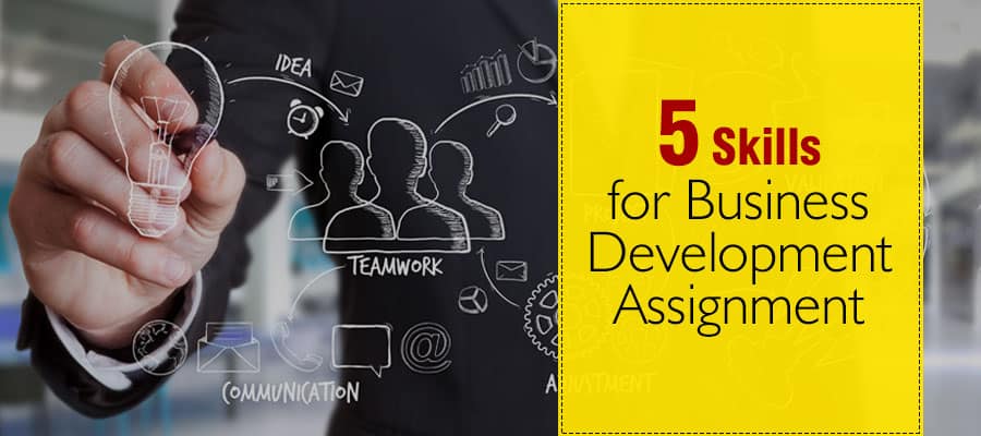 Business Development Assignment