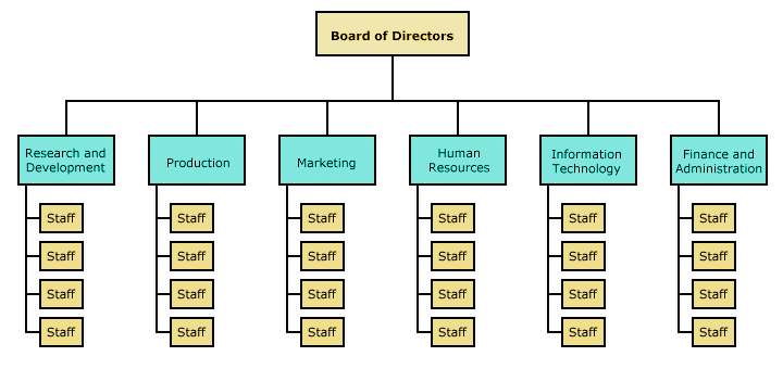 Functions of Organization