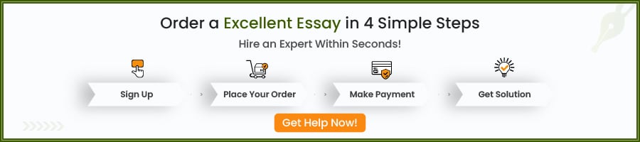 write my essay