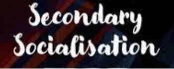 secondary socialisation