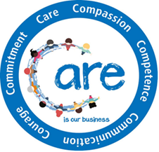 values of nursing