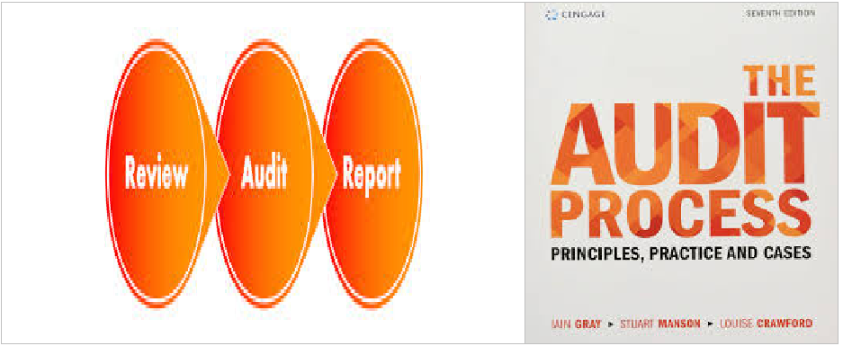 Auditing Process