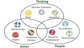 Theory of Belbin