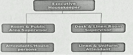 Housekeeping staff