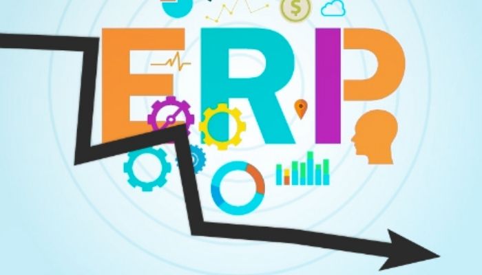 Why Do Your ERP Systems Fail?, 2018